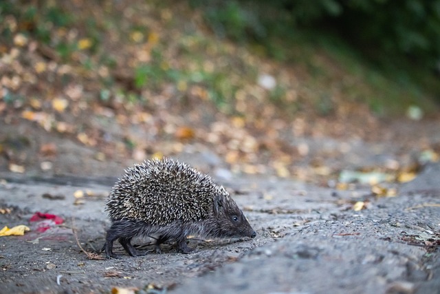 上海海港 上海海港